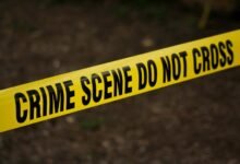 caller safety verification council